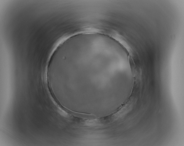 X0000111251477200907021421