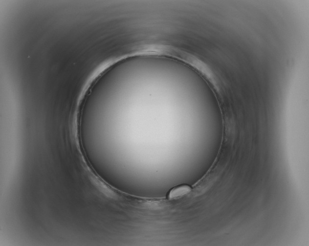 X0000111251480200907021421