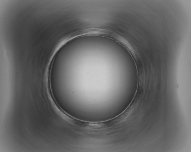 X0000111251483200907021421