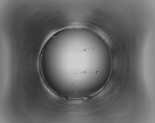 X0000111251484200907021421