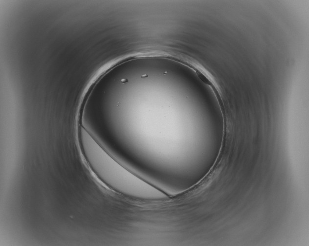 X0000111251485200907021421