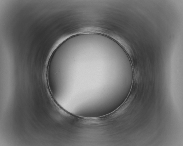 X0000111251486200907021421