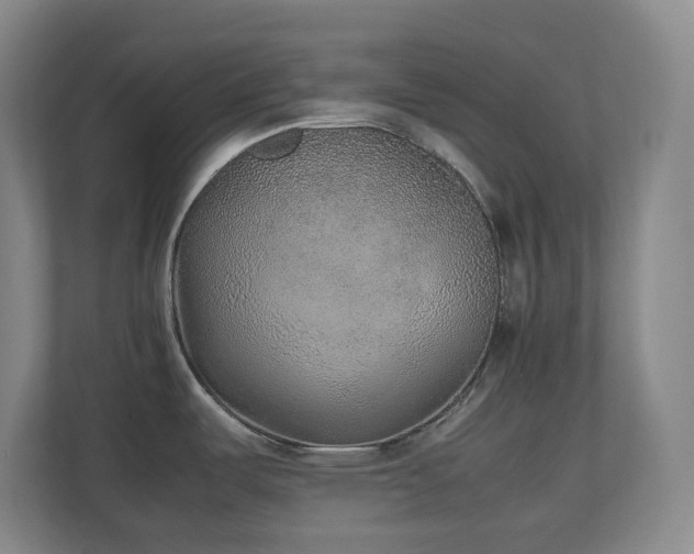 X0000111251487200907021421