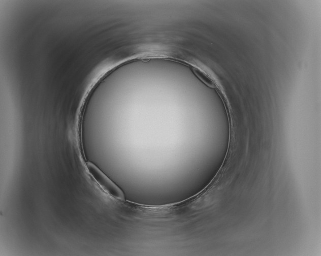 X0000111251488200907021421