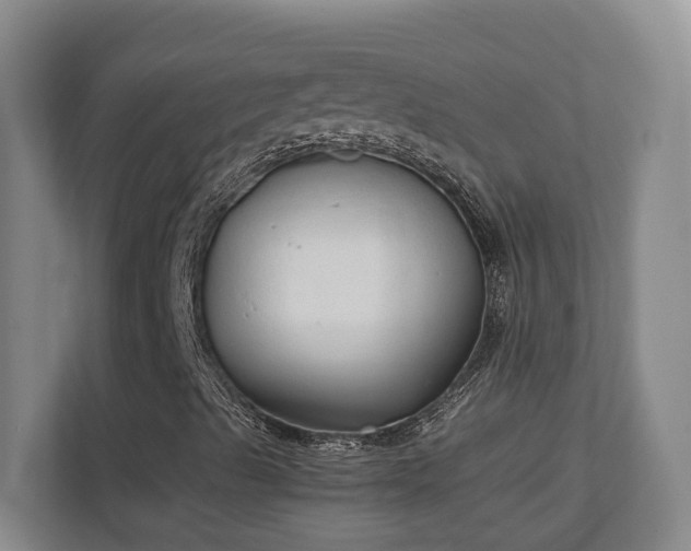 X0000111251489200907021420