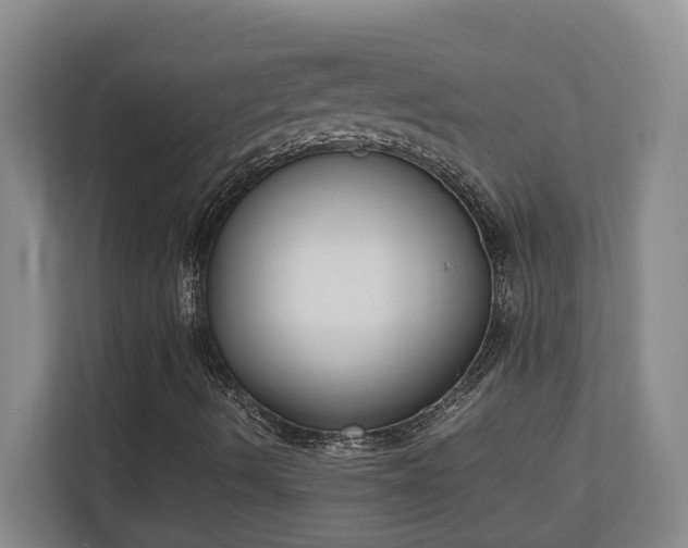 X0000111251490200907021420