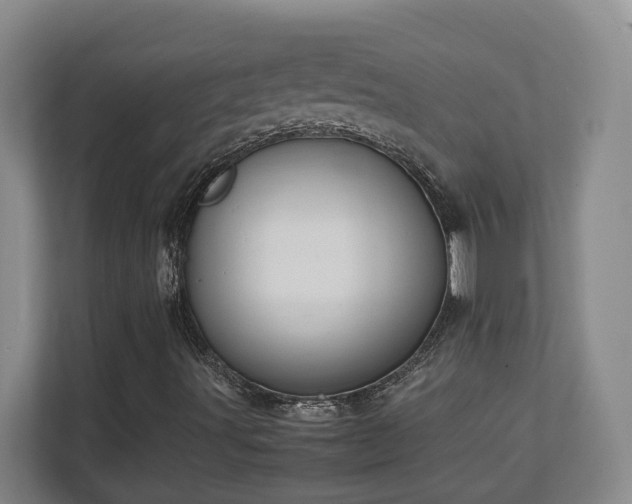 X0000111251491200907021420
