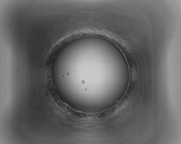 X0000111251494200907021420