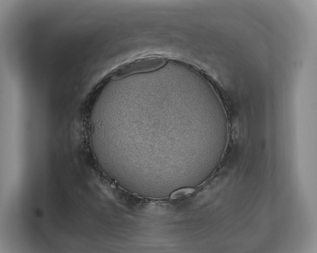 X0000111251496200907021420