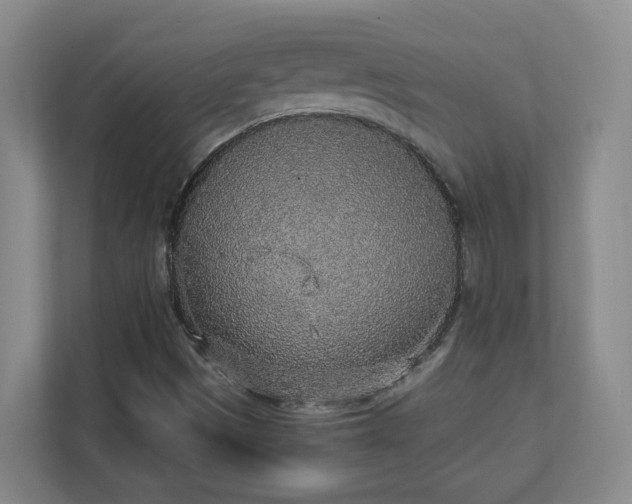 X0000111251497200907021420