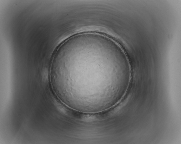 X0000111251505200907021421