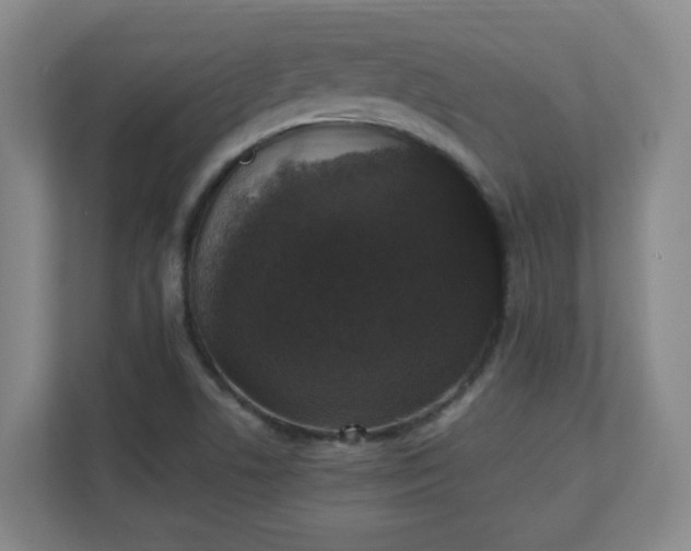 X0000111251506200907021421