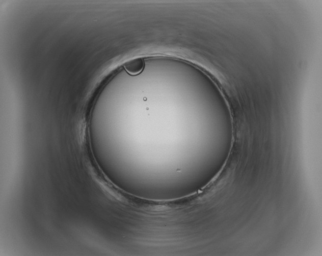 X0000111251507200907021421
