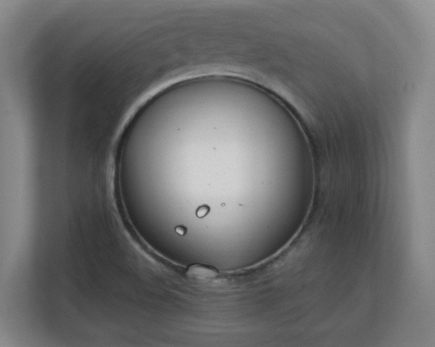 X0000111251508200907021421