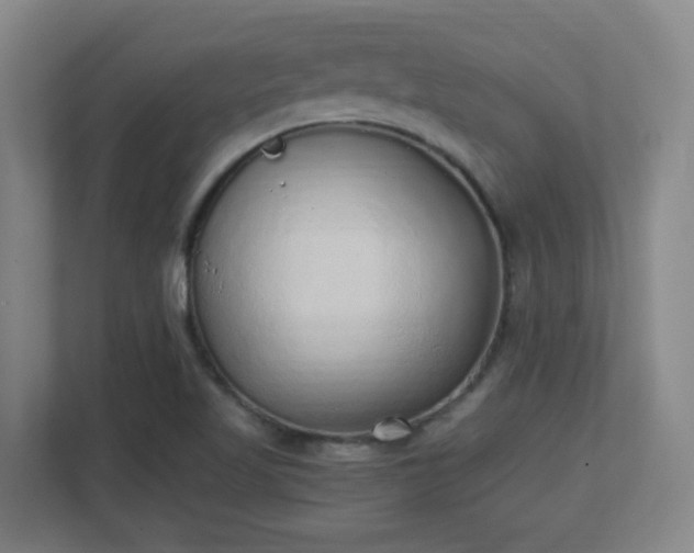 X0000111251509200907021421