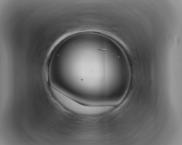 X0000111251510200907021421