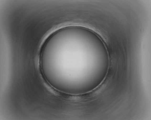 X0000111251511200907021421