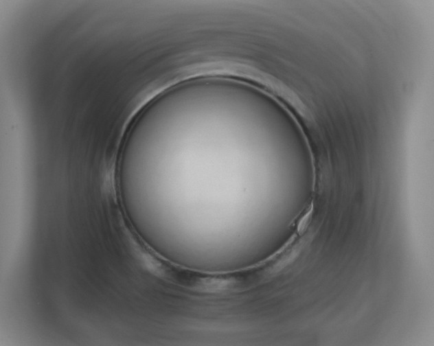 X0000111251513200907021421
