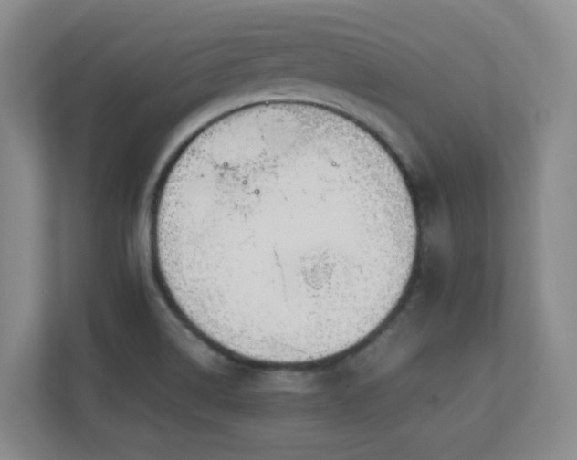 X0000111251514200907021421