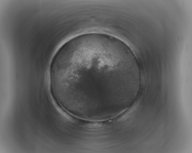 X0000111251515200907021421