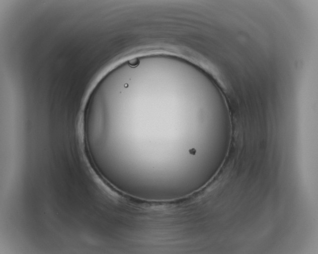 X0000111251516200907021421