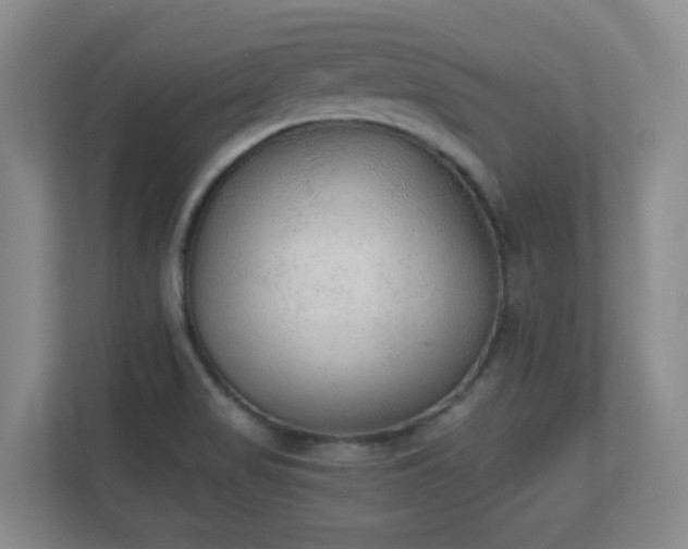 X0000111251517200907021421