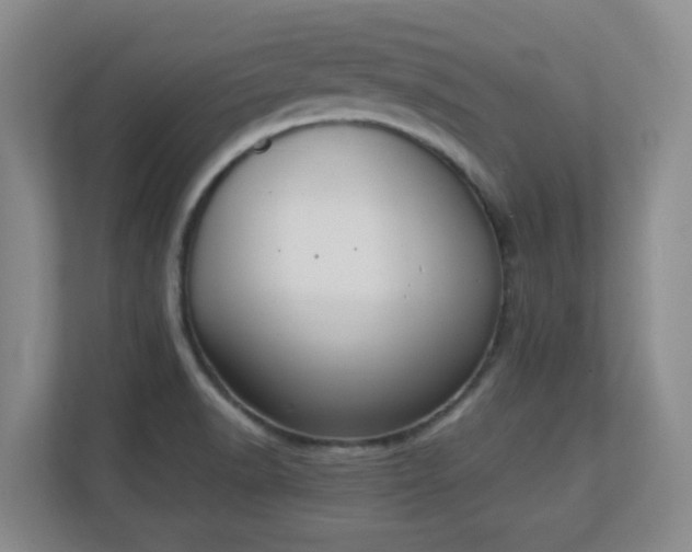 X0000111251518200907021421
