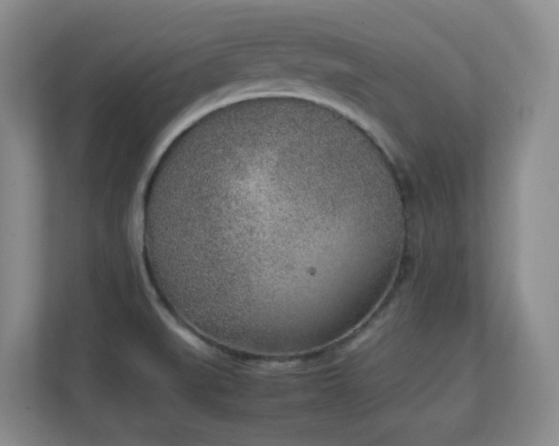X0000111251519200907021421