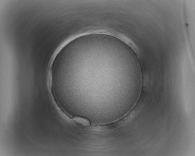 X0000111251520200907021421