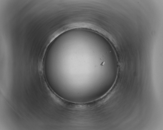 X0000111251521200907021421