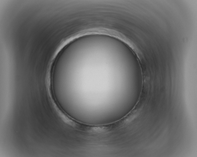 X0000111251523200907021421