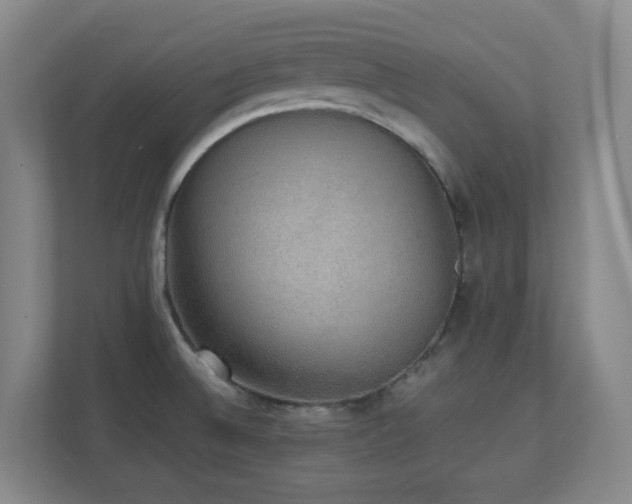 X0000111251524200907021421