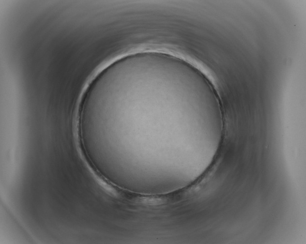 X0000111251525200907021421