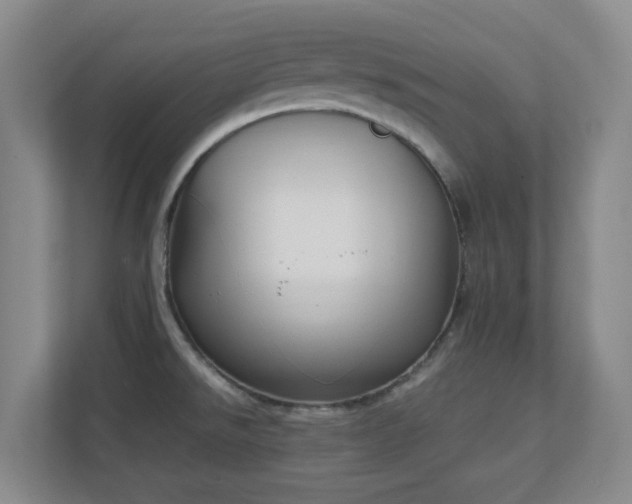 X0000111251526200907021421