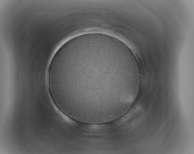 X0000111251527200907021421
