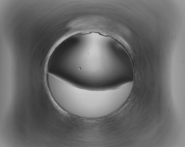 X0000111251528200907021421
