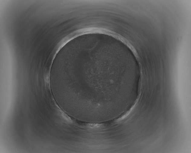 X0000111251529200907021421