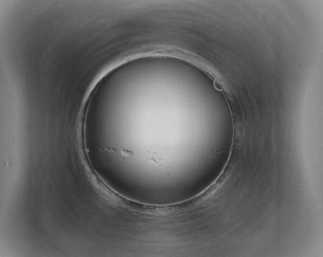 X0000111251530200907021421