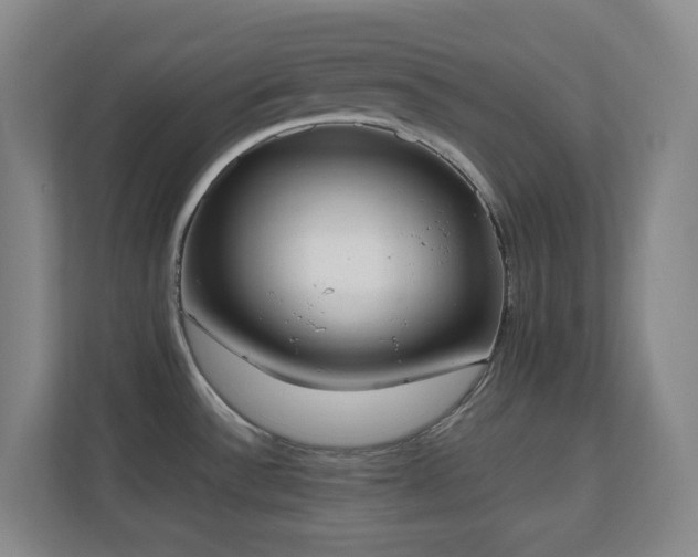 X0000111251532200907021421