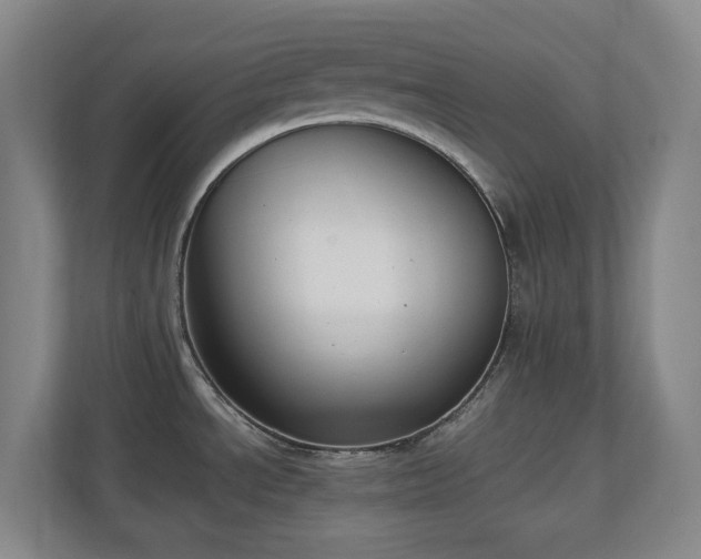 X0000111251534200907021421