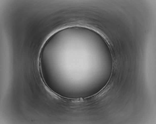 X0000111251535200907021421