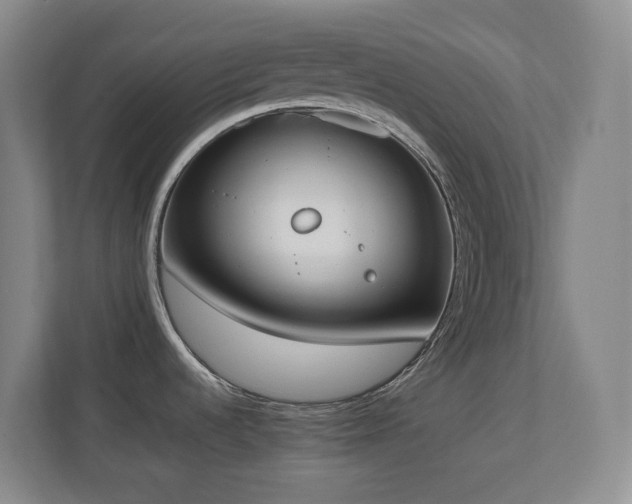 X0000111251536200907021421