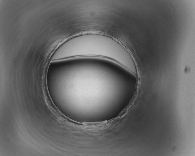 X0000111250001200907091434