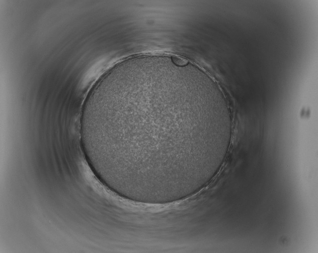 X0000111250002200907091434