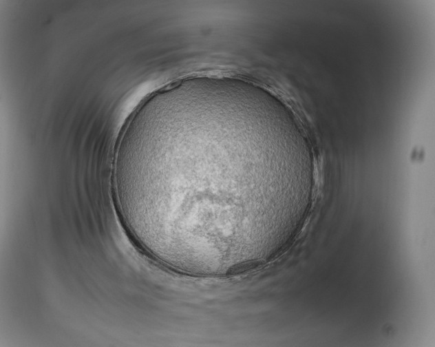 X0000111250003200907091434