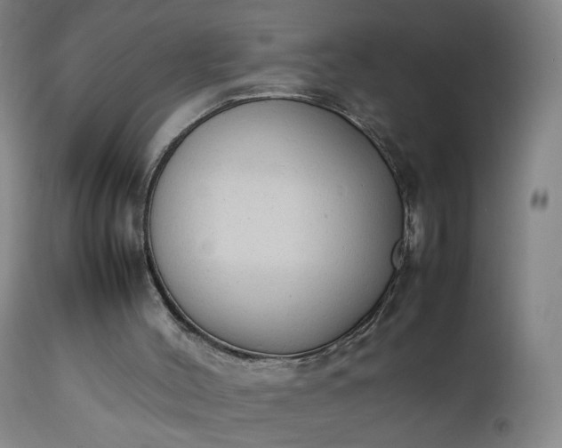 X0000111250004200907091434