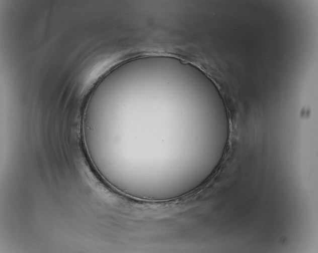 X0000111250005200907091434