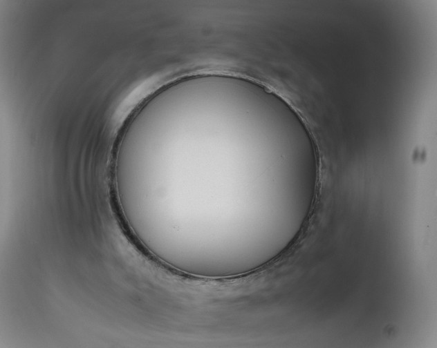 X0000111250007200907091434