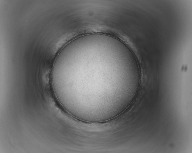 X0000111250010200907091434