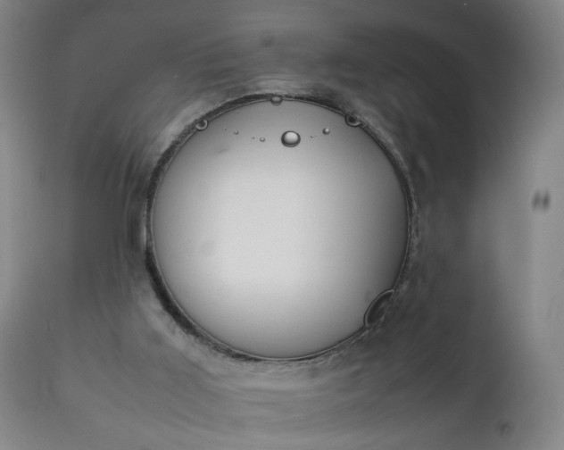 X0000111250011200907091434